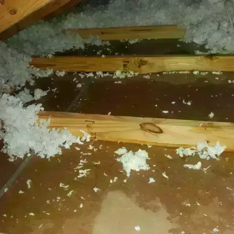 Attic Water Damage in Hubbard, TX