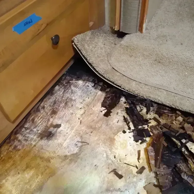 Wood Floor Water Damage in Hubbard, TX